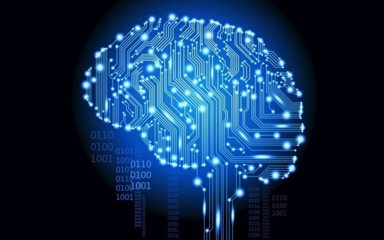 Neural Network Brain Circuitry