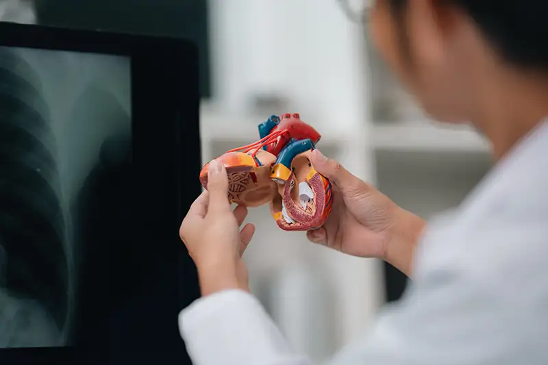 Doctor reviewing heart and vascular imaging for preventive heart screening.